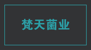 食品行业广元冲锋衣设计款式